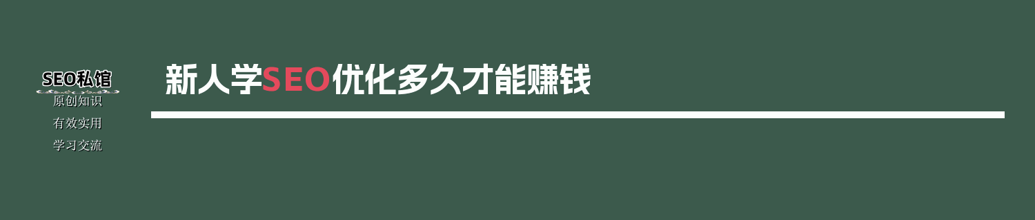新人学SEO优化多久才能赚钱