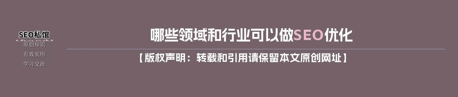 哪些领域和行业可以做SEO优化