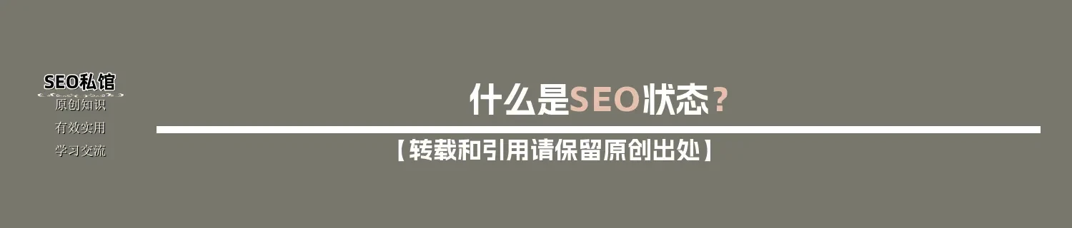 什么是SEO状态？