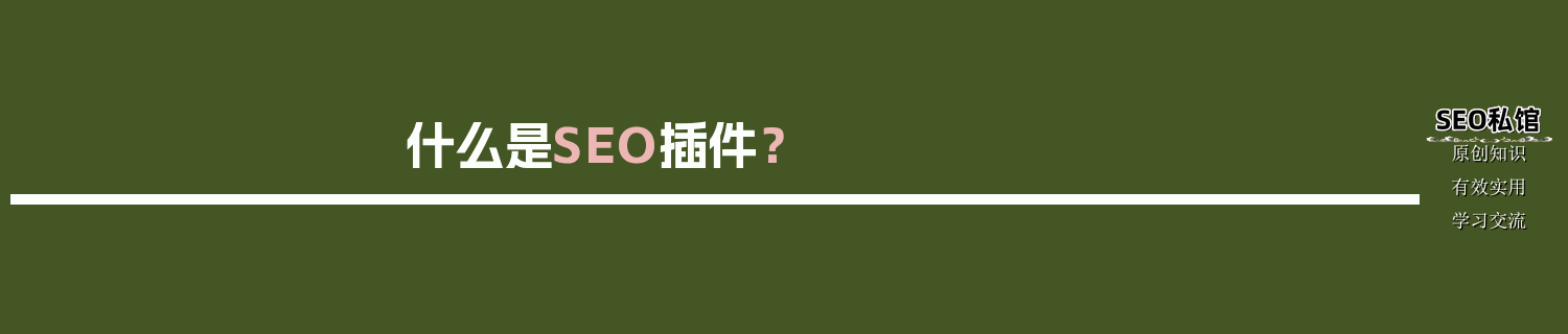 什么是SEO插件？