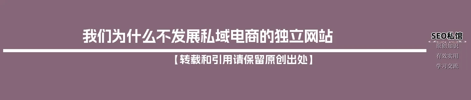 我们为什么不发展私域电商的独立网站 我们为什么不发展私域电商的独立网站