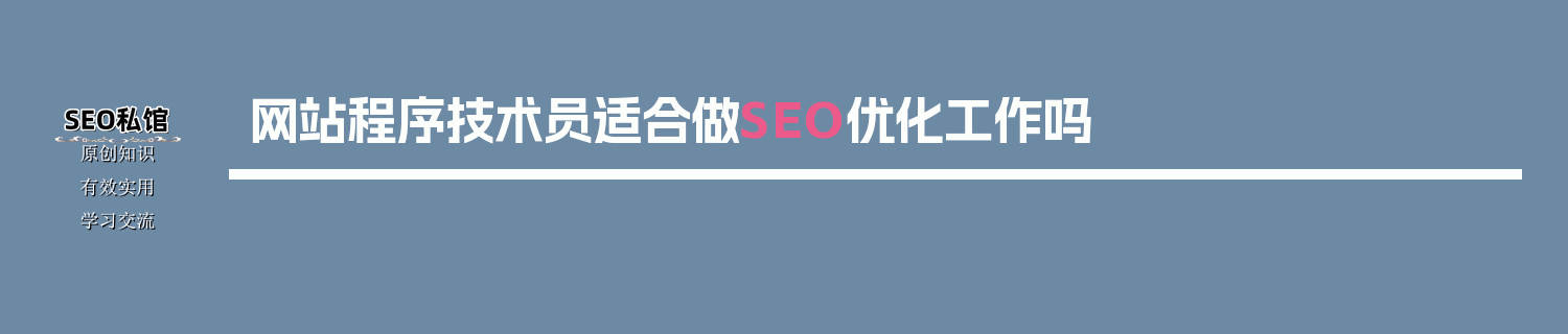 网站程序技术员适合做SEO优化工作吗