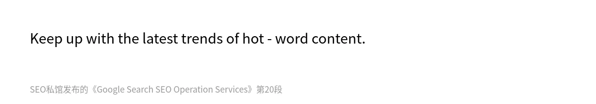 Google Search SEO Operation Services - 第20张图