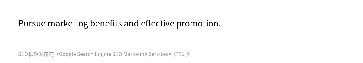 Google Search Engine SEO Marketing Services - 第15张图