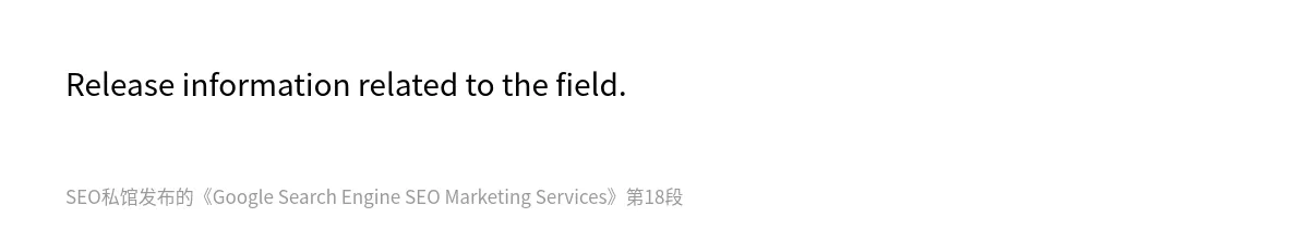 Google Search Engine SEO Marketing Services - 第18张图