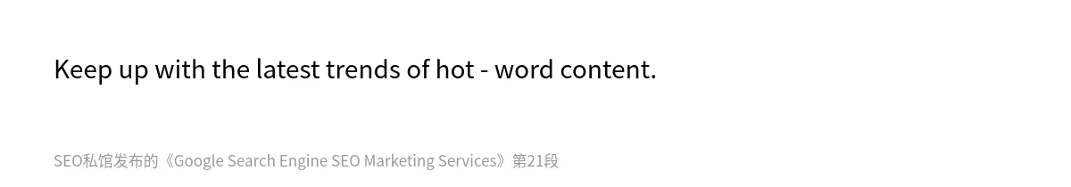 Google Search Engine SEO Marketing Services - 第21张图