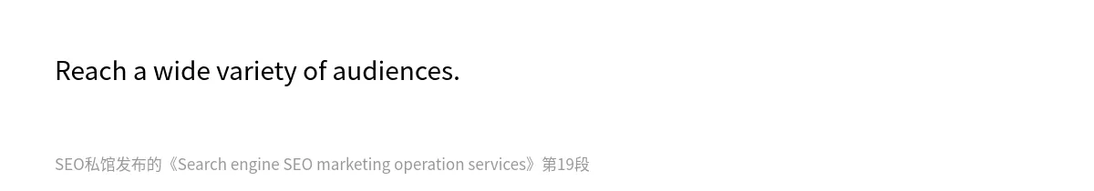 Search engine SEO marketing operation services - 第19张图