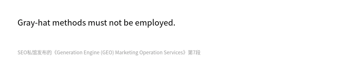 Generation Engine (GEO) Marketing Operation Services - 第7张图