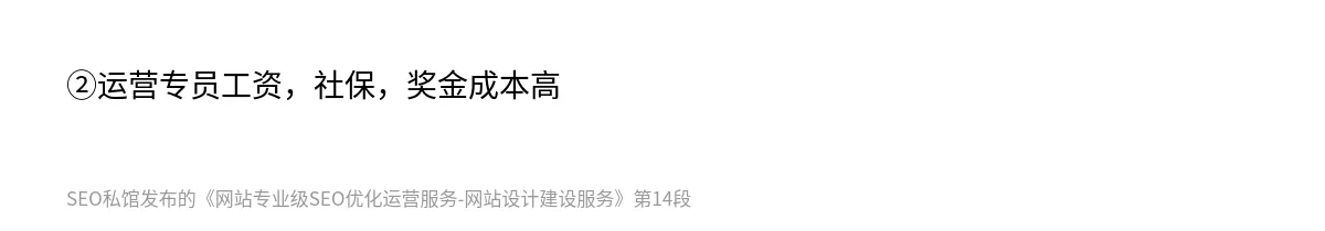 网站专业级SEO优化运营服务-网站设计建设服务 - 第14张图