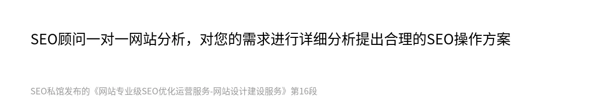 网站专业级SEO优化运营服务-网站设计建设服务 - 第16张图