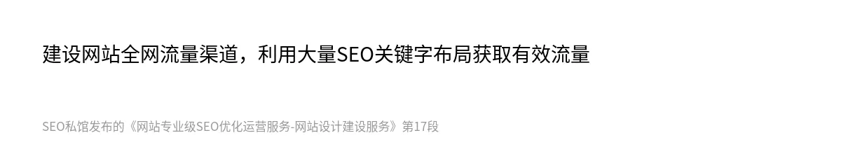 网站专业级SEO优化运营服务-网站设计建设服务 - 第17张图