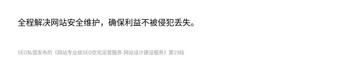 网站专业级SEO优化运营服务-网站设计建设服务 - 第19张图