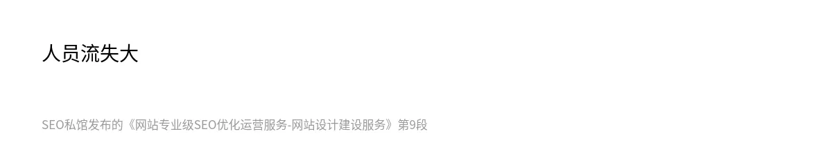 网站专业级SEO优化运营服务-网站设计建设服务 - 第9张图