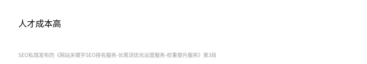 网站关键字SEO排名服务-长尾词优化运营服务-权重提升服务 - 第3张图