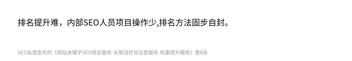 网站关键字SEO排名服务-长尾词优化运营服务-权重提升服务 - 第6张图