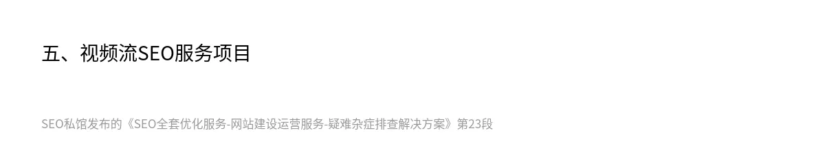 SEO全套优化服务-网站建设运营服务-疑难杂症排查解决方案 - 第23张图