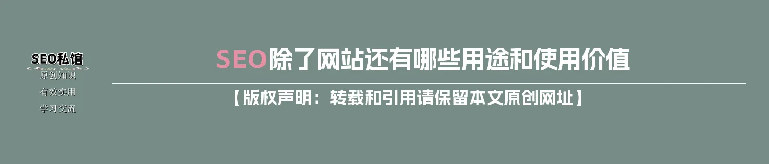 SEO除了网站还有哪些用途和使用价值 SEO除了网站还有哪些用途和使用价值