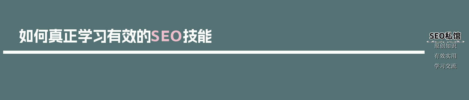 如何真正学习有效的SEO技能