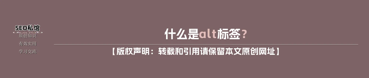 什么是alt标签? 什么是alt标签?