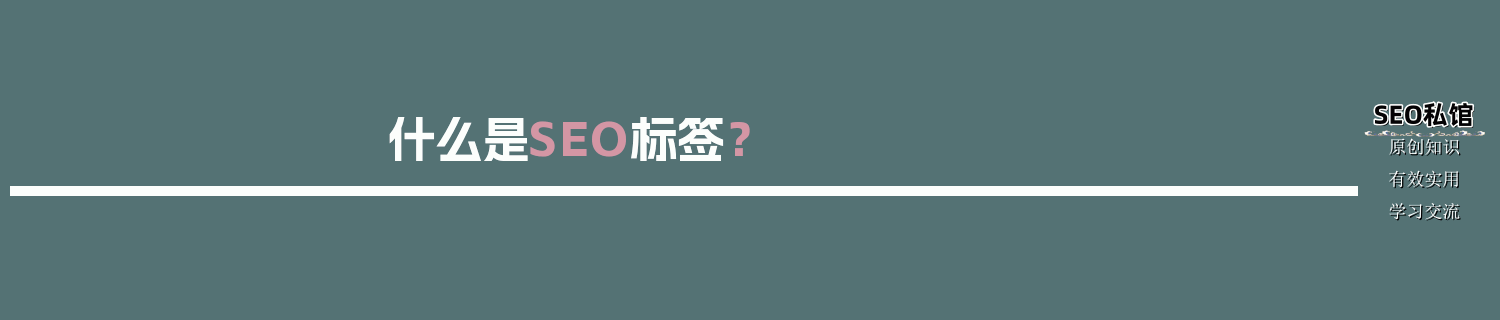 什么是SEO标签？