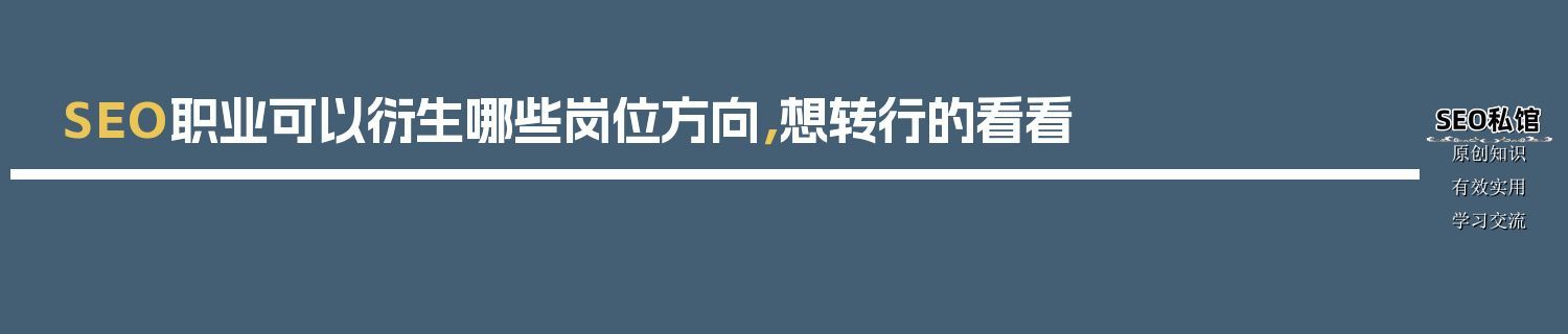 SEO职业可以衍生哪些岗位方向，想转行的看看