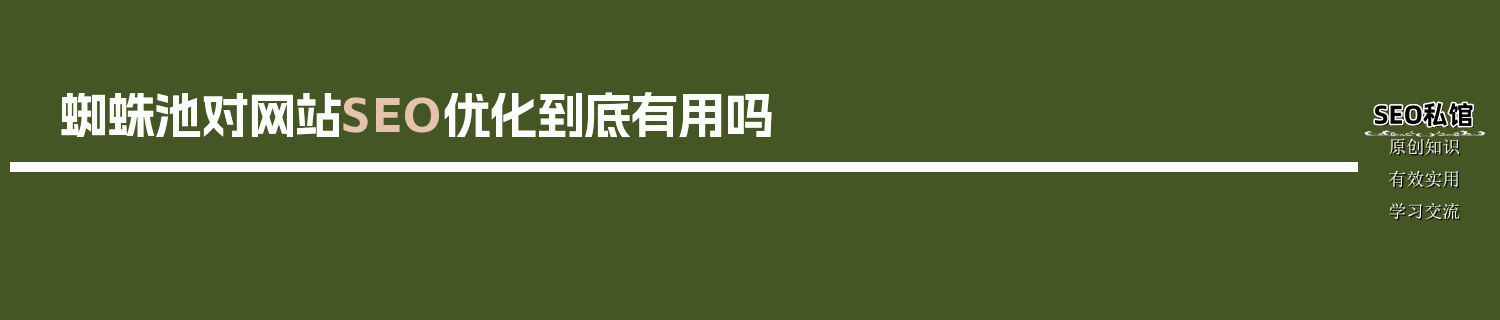 蜘蛛池对网站SEO优化到底有用吗