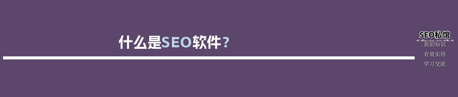 什么是SEO软件？