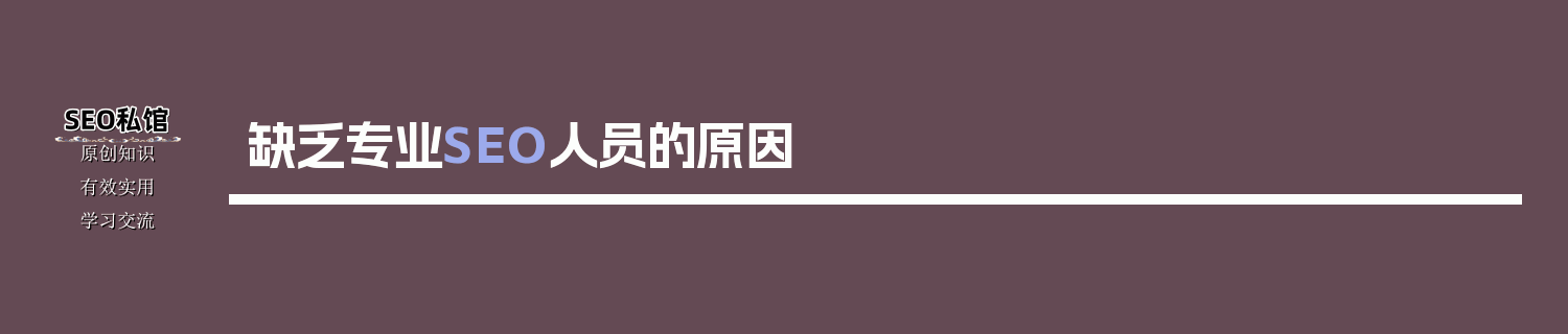缺乏专业SEO人员的原因