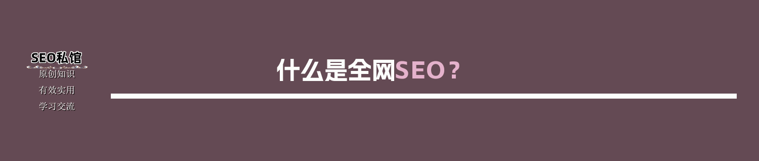 什么是全网SEO？