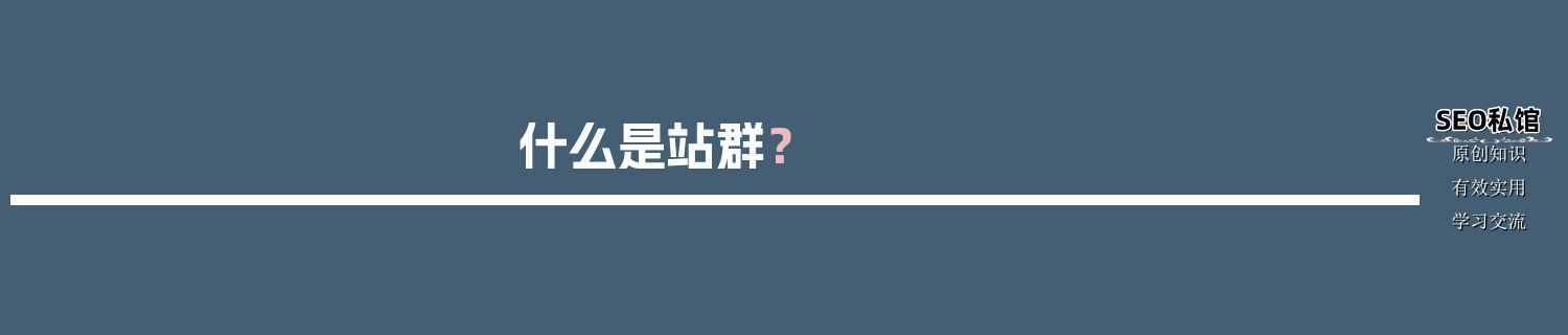什么是站群？