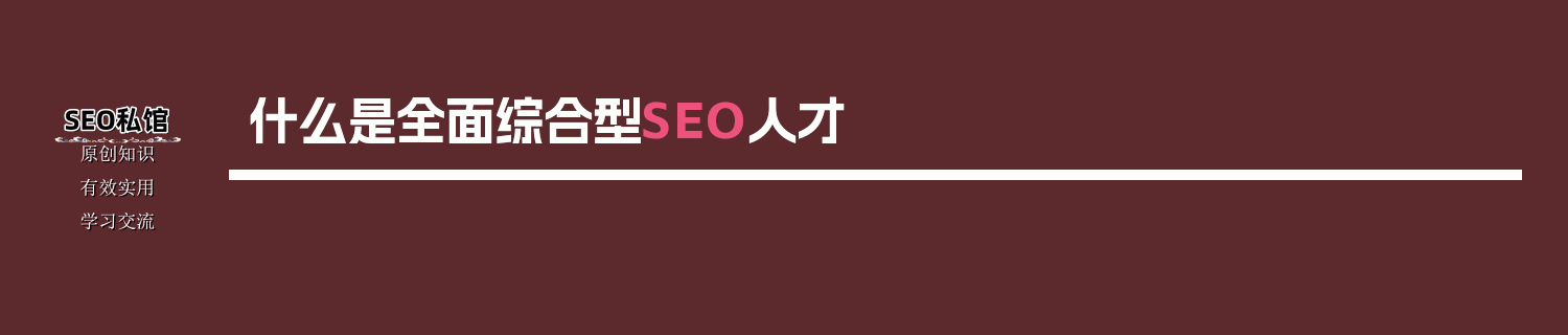 什么是全面综合型SEO人才